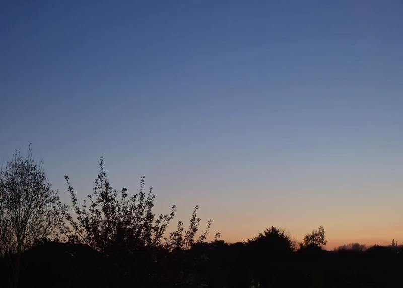 Featured image of post 四月報告