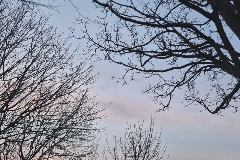 Featured image of post 二月報告