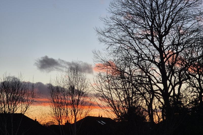 Featured image of post 一月報告