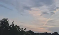 Featured image of post 六月報告