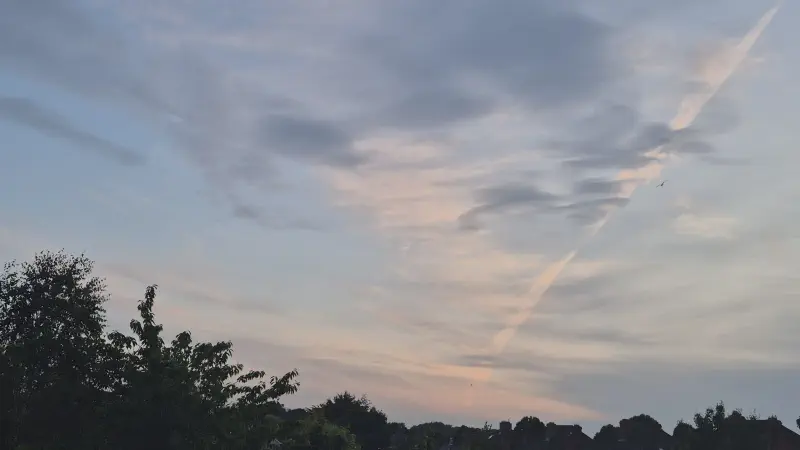 Featured image of post 六月報告