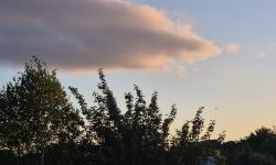 Featured image of post 五月報告