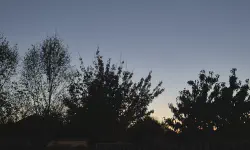 Featured image of post 十一月報告