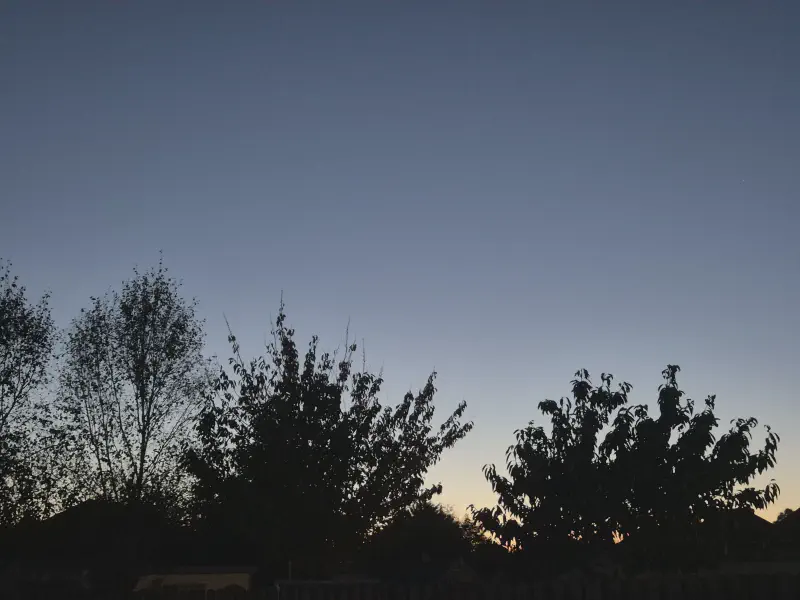 Featured image of post 十一月報告